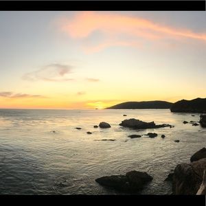 Meet your Posher, Ava